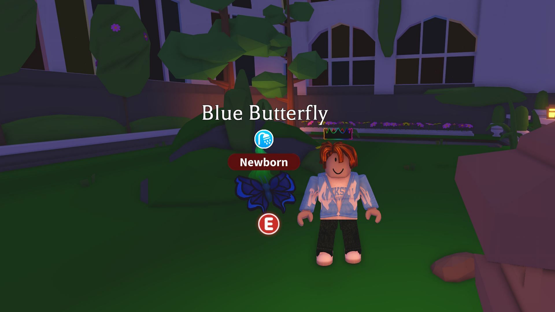 You can use the flowers to tame Butterflies (Image via Roblox)